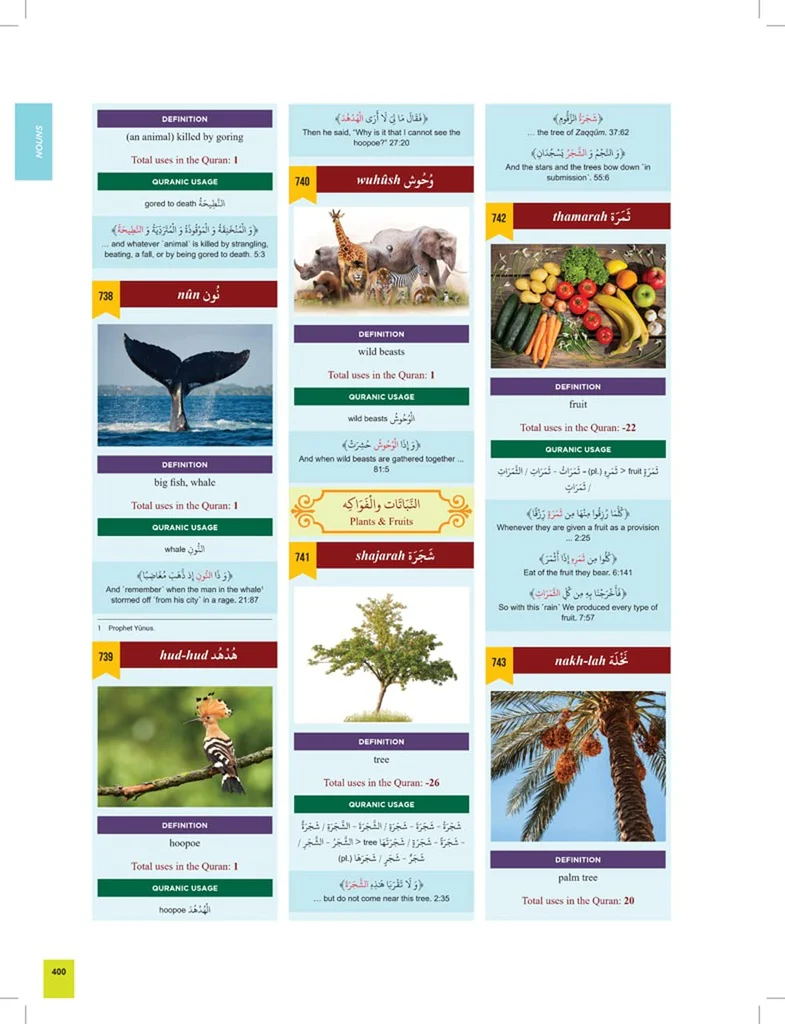 قاموس سلسلة القرآن الكريم الواضح® - Image 5