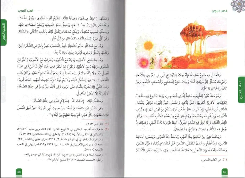 الطب النبوي ابن القيم الجوزية - Image 2
