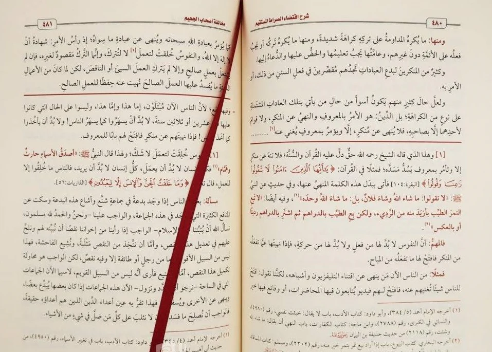 شرح اقتضاء الصراط المستقيم - Image 2