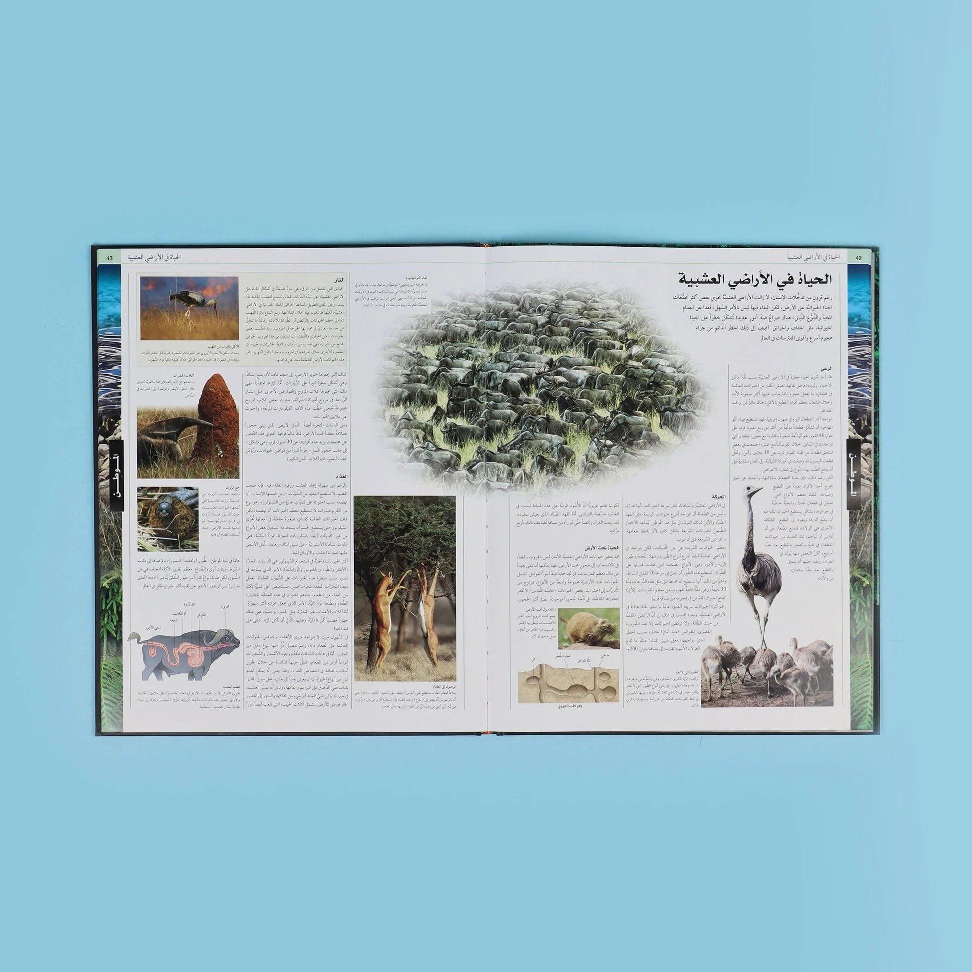 الموسوعة الشاملة للحيوانات 7 مجلدات - Image 12