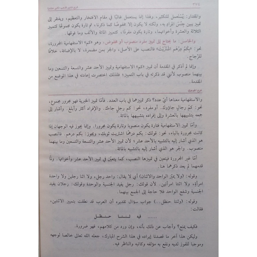 شرح شذور الذهب في معرفة كلام العرب - Image 2