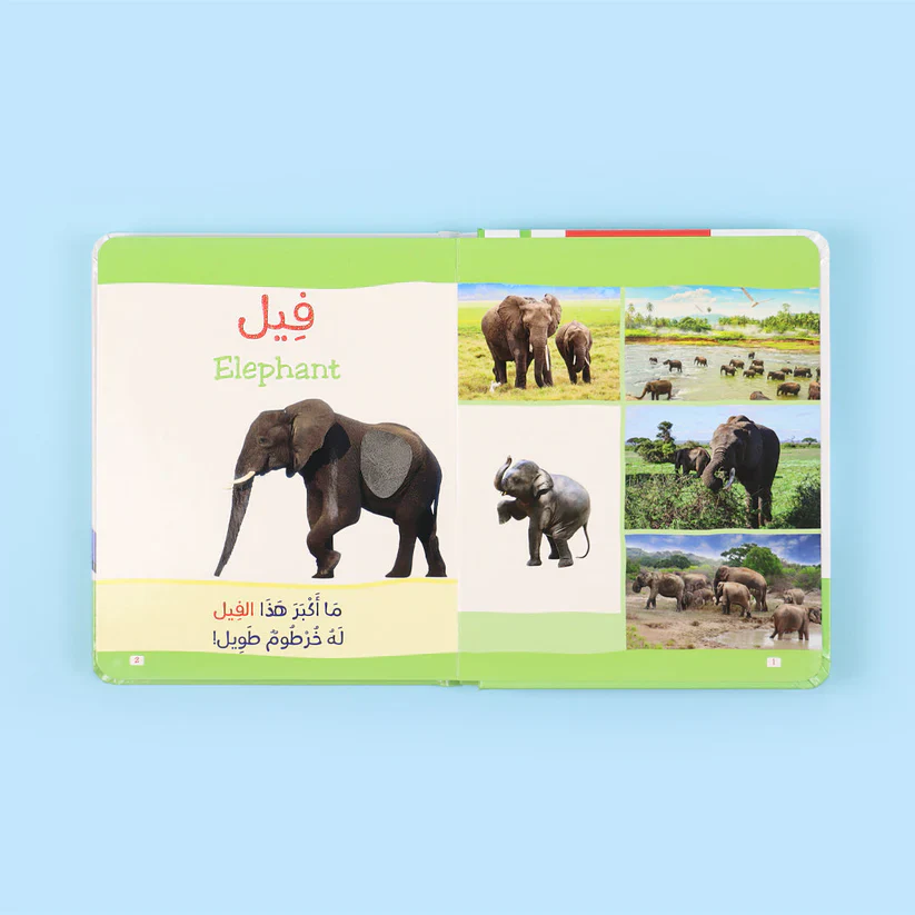 كتاب مونتيسوري الأول - الحيوانات باللمس - Image 3