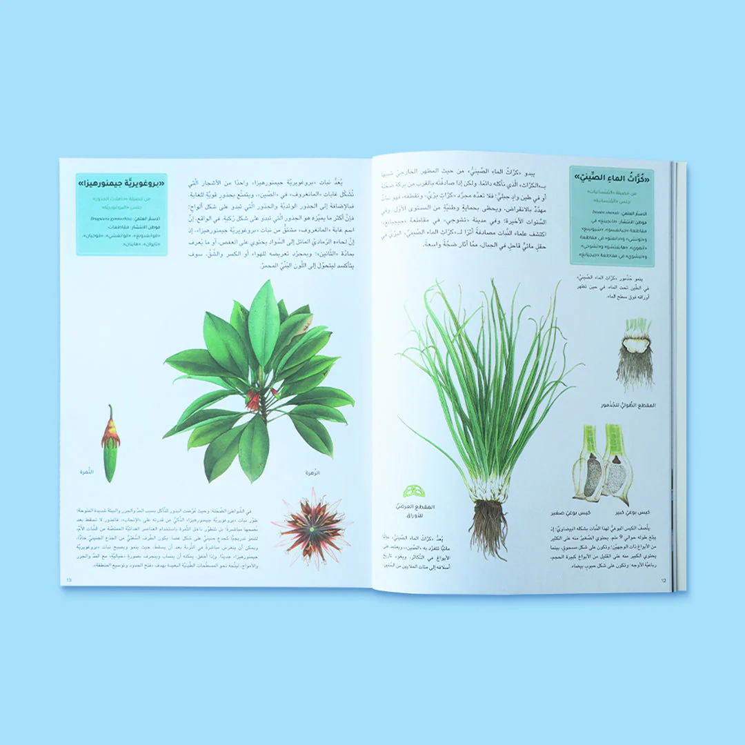 سلسلة عالم النباتات 4 كتب - Image 7