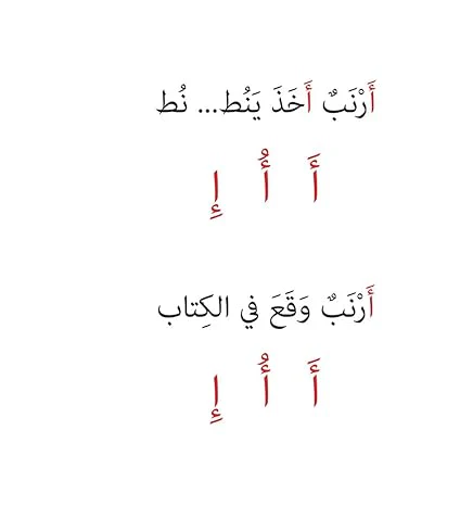 سلسلة حروف المد - 28 كتاب - Image 3