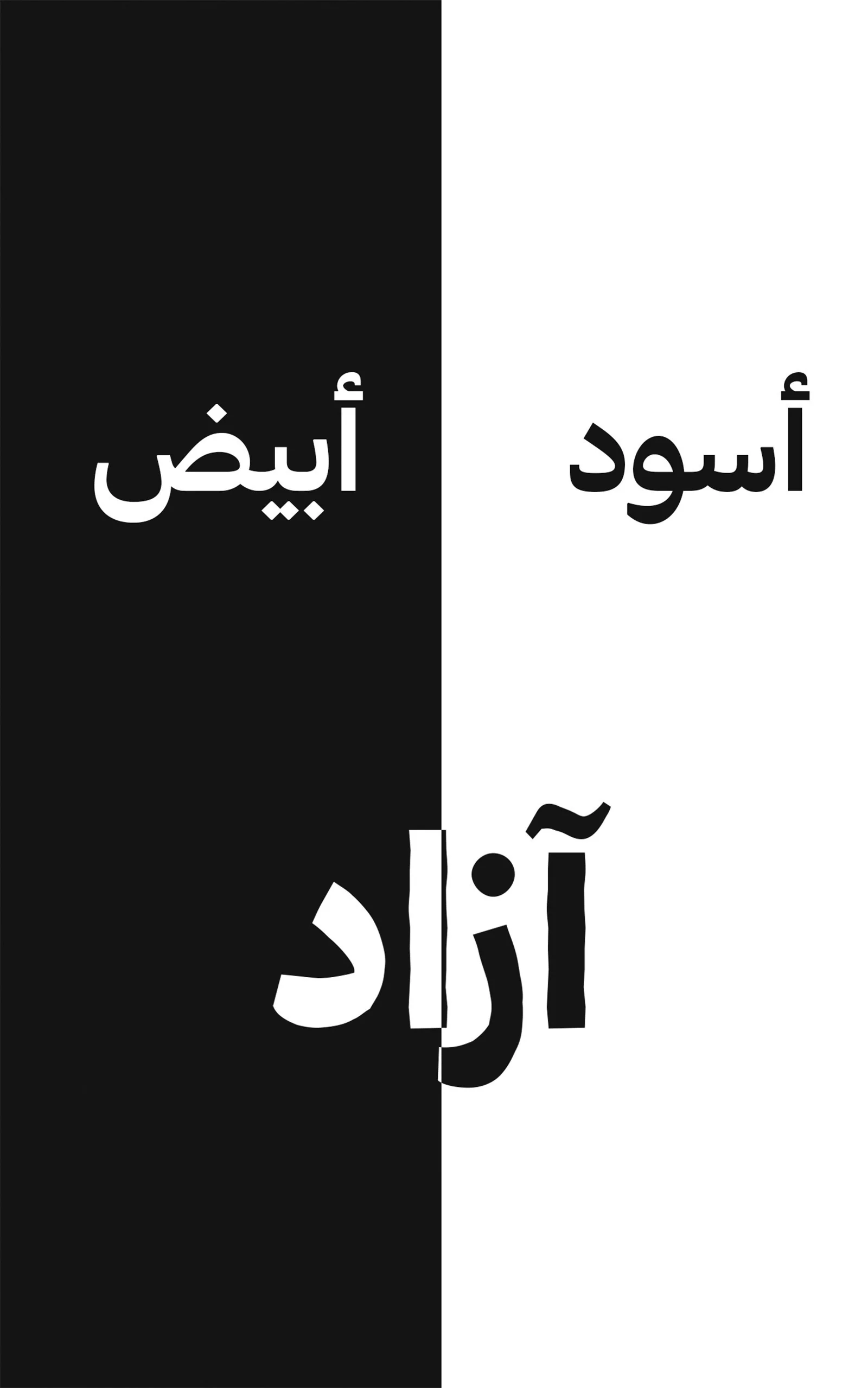 أسود أبيض