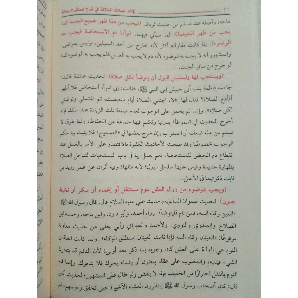 مسالك الدلالة في شرح مسائل الرسالة - Image 4