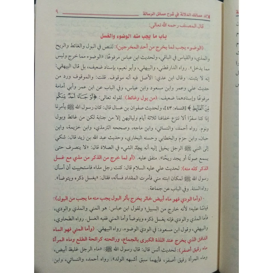 مسالك الدلالة في شرح مسائل الرسالة - Image 5