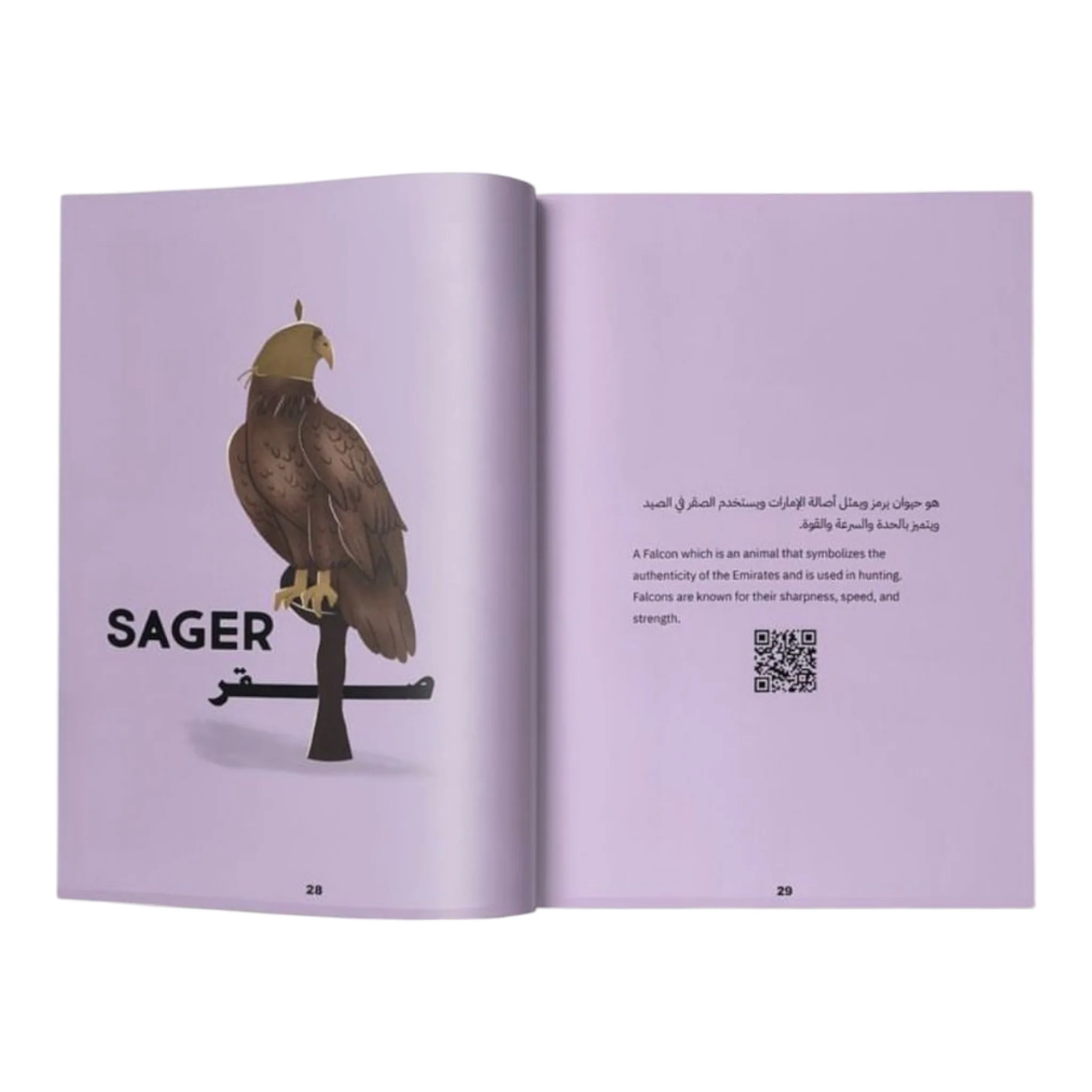 هاي رمستنا - لعبة وكتاب - Image 3
