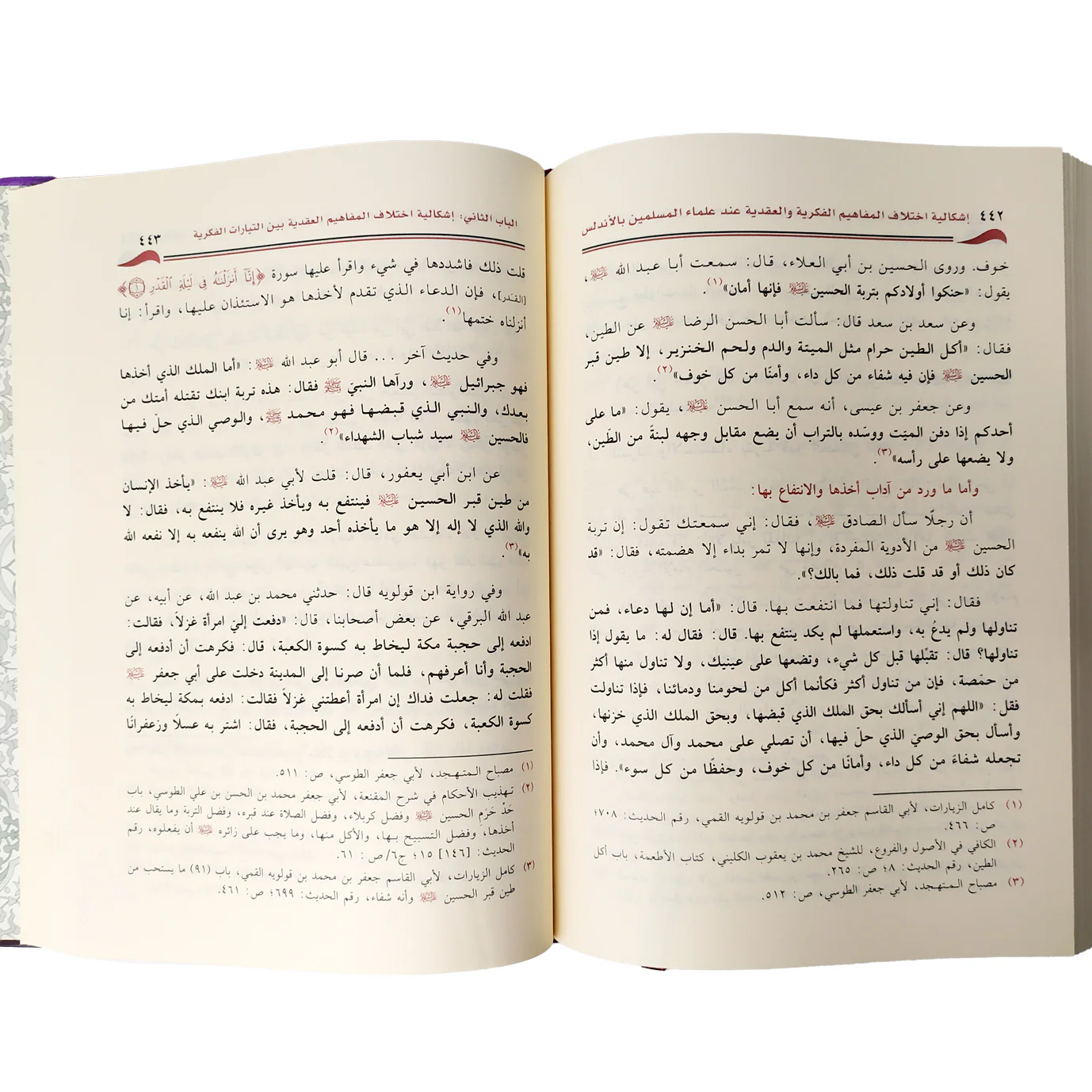 إشكالية اختلاف المفاهيم الفكرية والعقيدية عند علماء المسلمين بالاندلس - Image 3