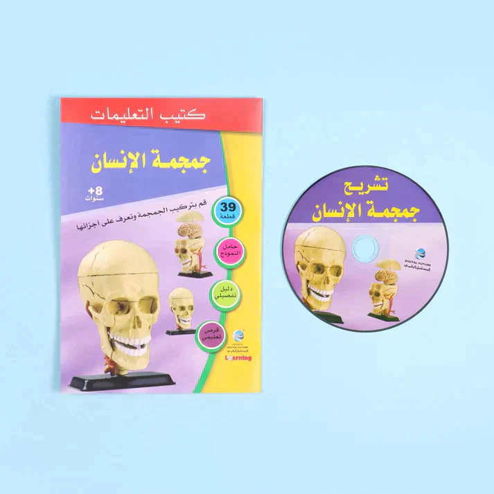 تشريح الجمجمة - Image 3