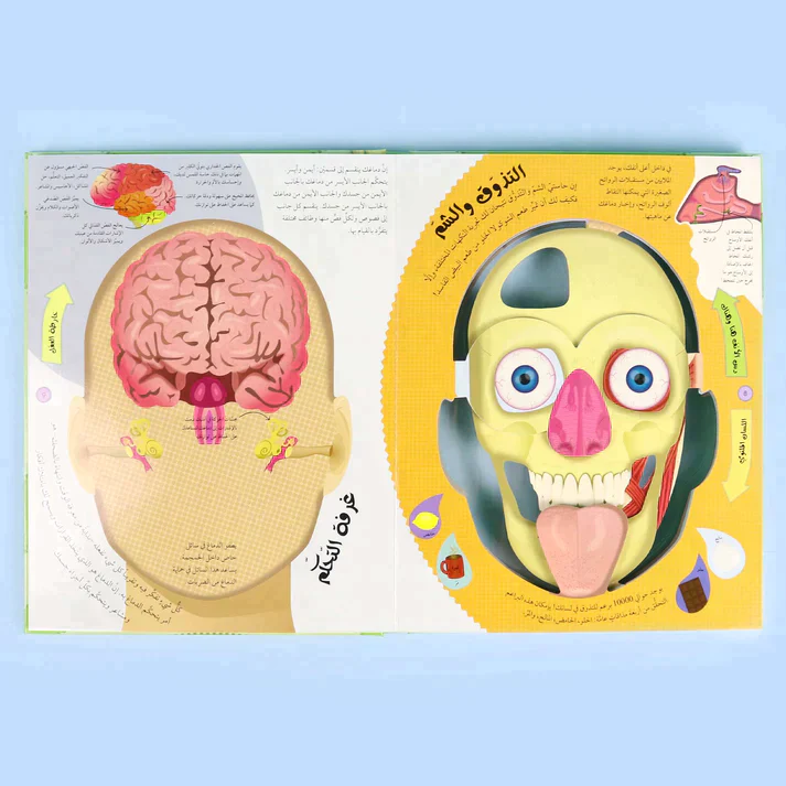 كتاب جسم الإنسان من الخارج إلى الداخل - Image 3