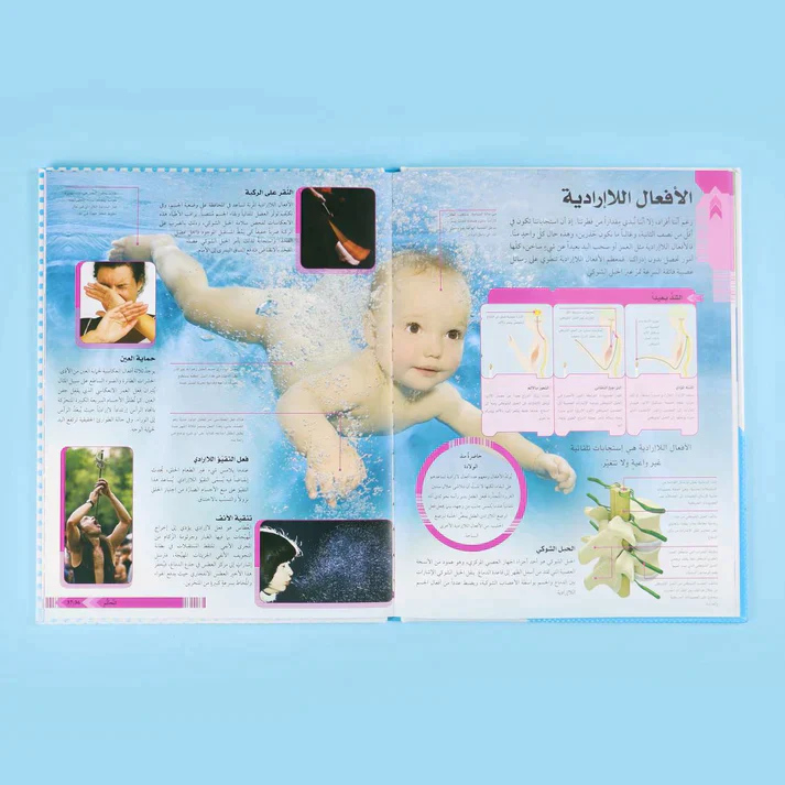 حقيبة مسرح الدمى (3) - Image 2