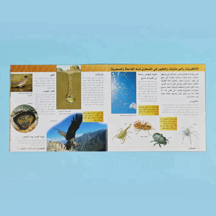 موسوعة دليلك إلى المعرفة - Image 6