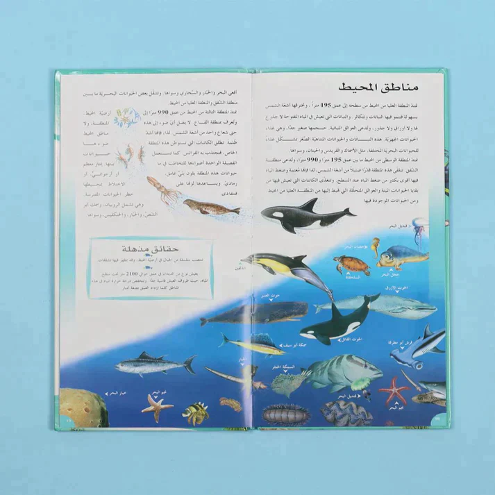 موسوعة العلوم التفاعلية 7 مجلدات + 7 سي دي - Image 21