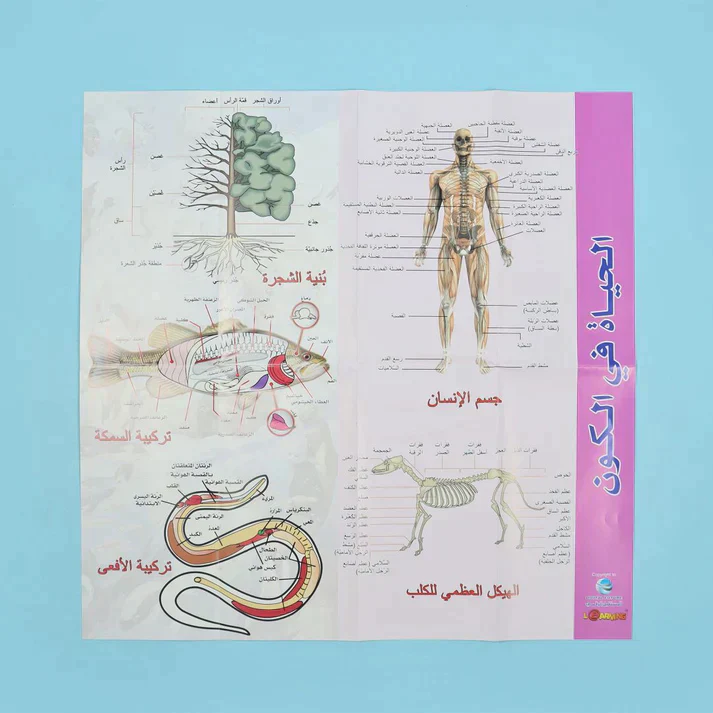 موسوعة العلوم التفاعلية 7 مجلدات + 7 سي دي - Image 33