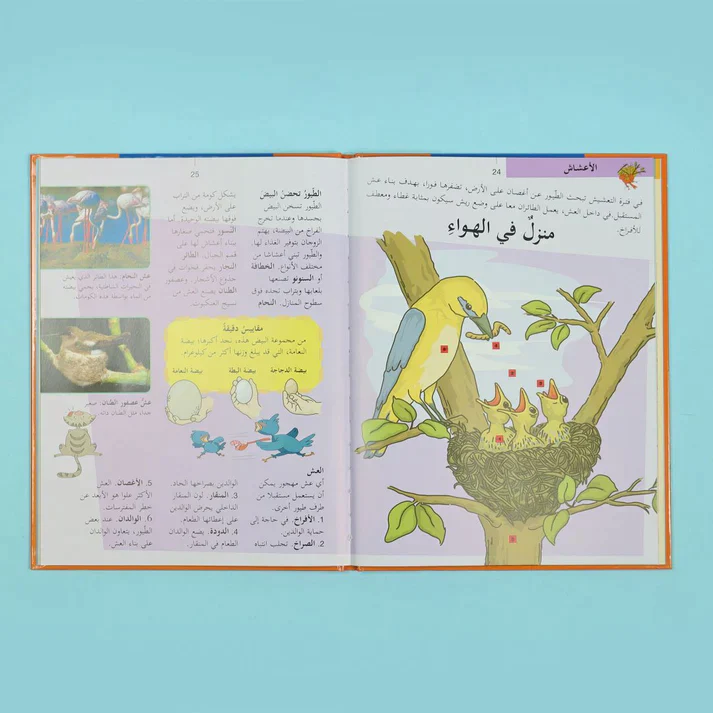 موسوعة أطلسي الأول (8 أجزاء) - Image 23