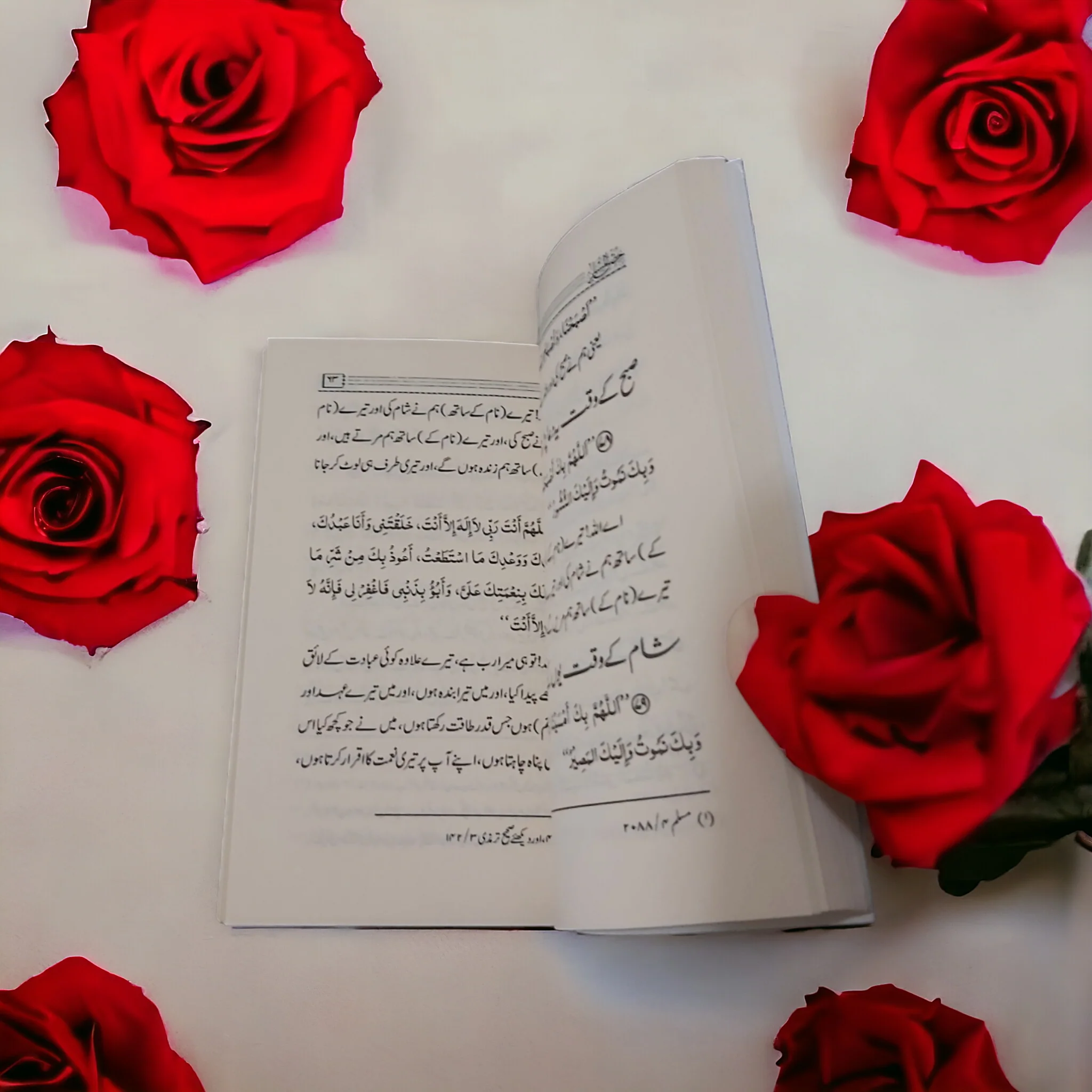 عدد 50 نسخة حصن المسلم اوردو حجم كف اليد - Image 3