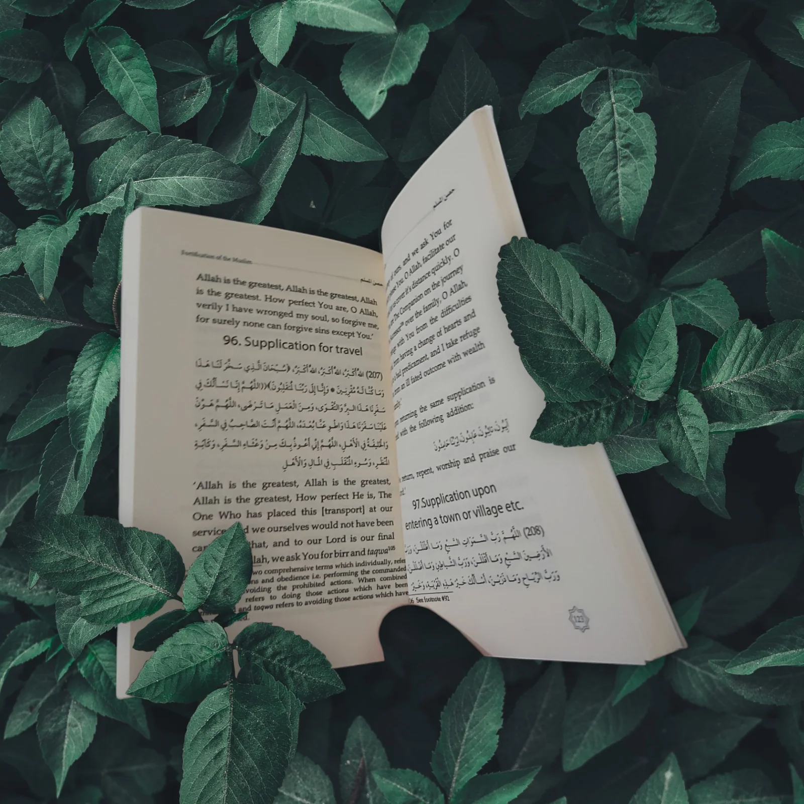 عدد 50 نسخة حصن المسلم باللغة الانجليزية حجم كف اليد - Image 4