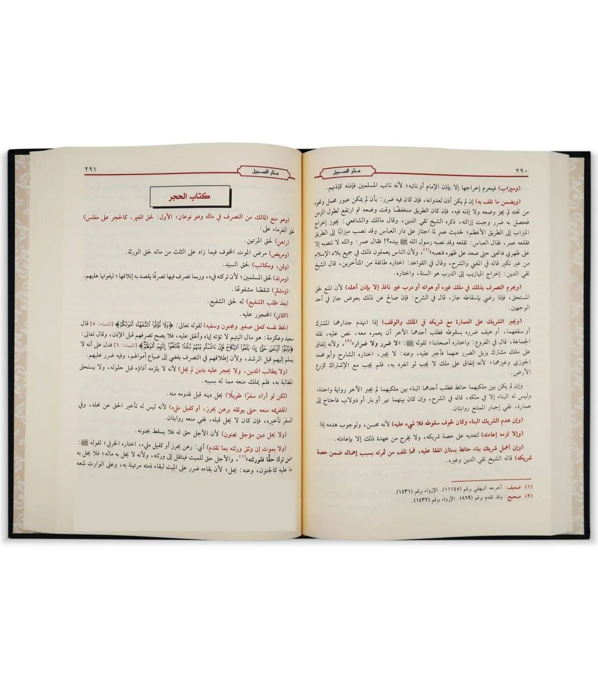 منار السبيل في شرح الدليل - Image 2