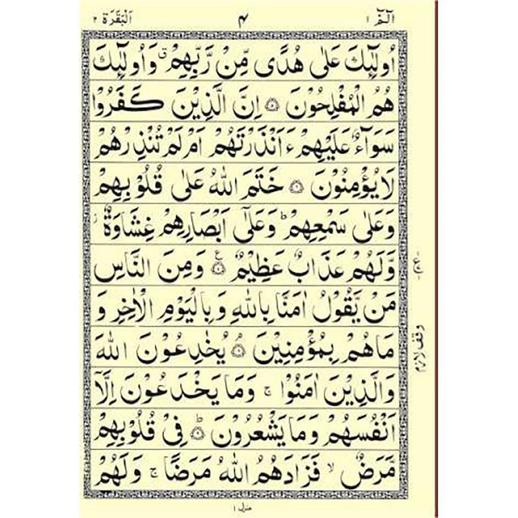 صورة مصغرة 2