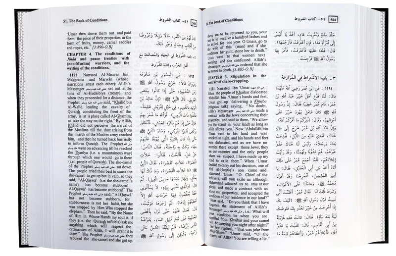 مختصر صحيح البخاري عربي إنجليزي - Image 4