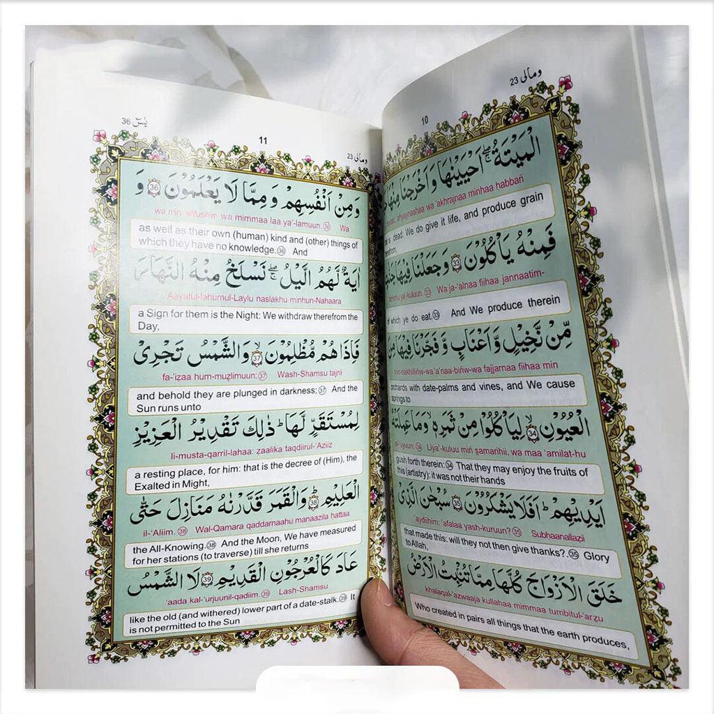 صورة مصغرة 2