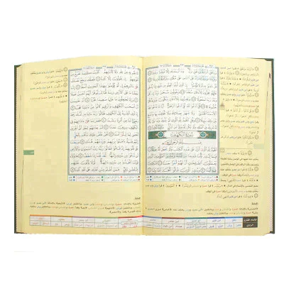 صورة مصغرة 2