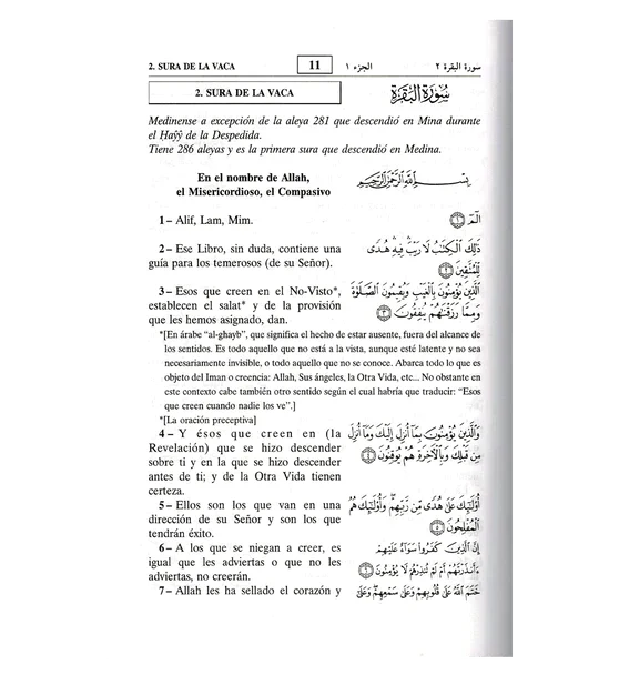 تفسير معاني القرآن الكريم باللغة الإسبانية بنص عربي - Image 2